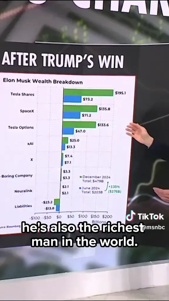 Musk's impressive portfolio