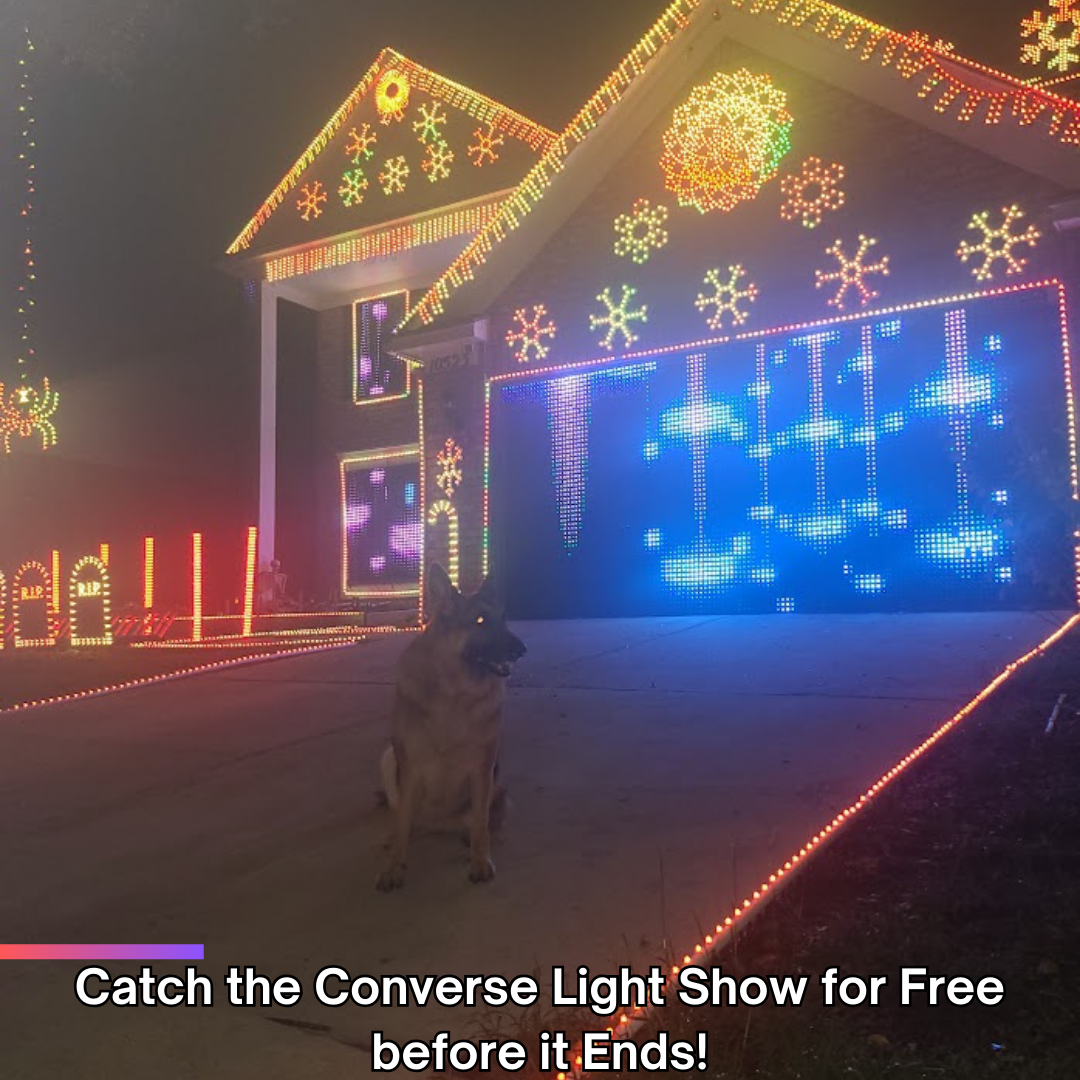 Keep the Kids Entertained (and the Parents Sane!): Catch the Converse Light Show Before It Ends!